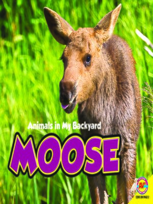 cover image of Moose